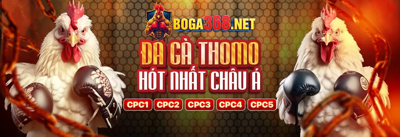 Giao diện nền tảng cá cược đa dạng của acb88